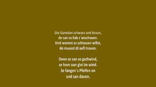 Die Gämslein (Gamslan) schwarz und braun - (Steirisches Jägerlied) - Hunter song from Austria