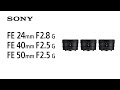 Sony Festbrennweite FE 24mm F/2.8 G – Sony E-Mount