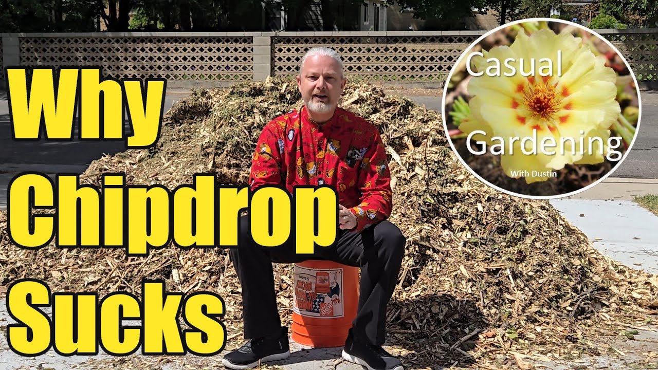 The Truth About Free Wood Chips No One Tells You