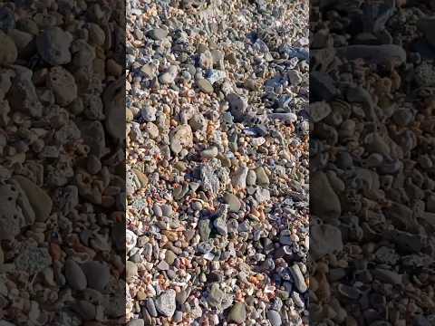 Let me show you Nandgao beach,Palghar...