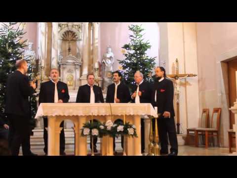 DOMOVINA - Klapa SV MIHOVIL PROLOŽAC