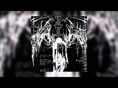 Memento Mori (slowed) - Habentub, Phantanonik VISUALIZER