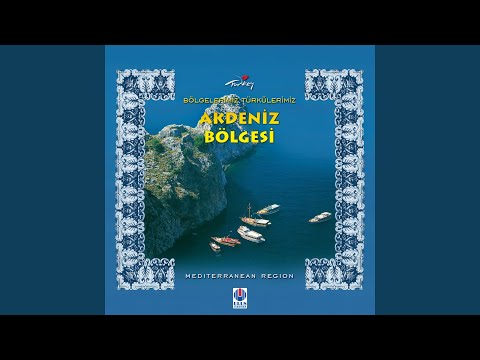 Video Yükleniyor...