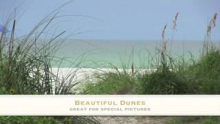 preview picture of video 'Coquina Beach Wedding Location Florida'