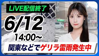 【ライブ】最新ゲリラ雷雨 関東で雹や激しい雷雨／天気ニュース・地震情報 2026年6月12日(金)〈ウェザーニュースLiVEアフタヌーン・戸北美月／芳野達郎〉
