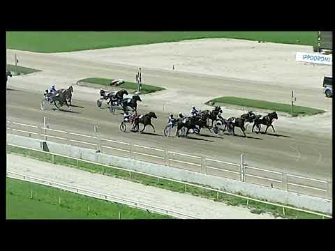 Napoli Trotto 20/05/2022 - 2ª corsa