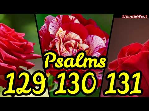 Psalms 129, 130 & 131 King James Version KJV KJB Audiobook with Captions Read Along ESL