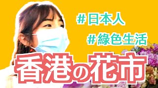 香港に住む日本人の週末vlog｜フラワーマーケット・点心｜HKwithRiko