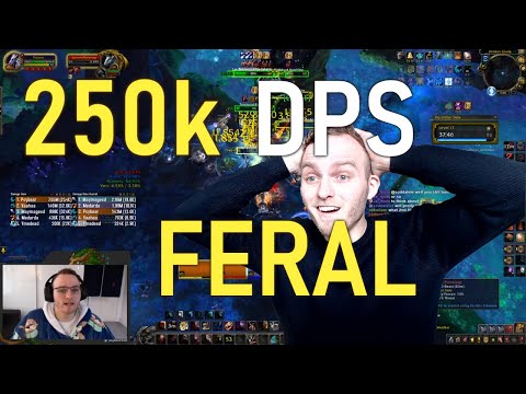 WOW HIGHLIGHTS - PSYBEAR_TV - FEATURING 250K FERAL DPS + MORE !