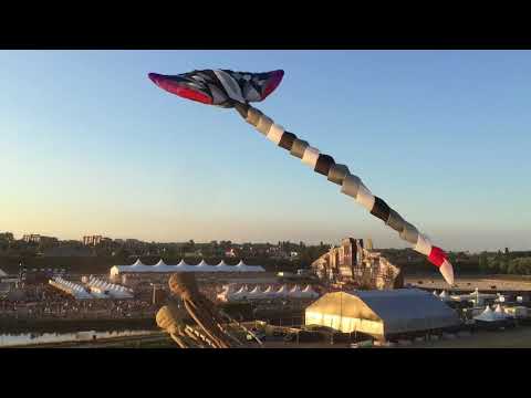 Festival Hype-O-Dream