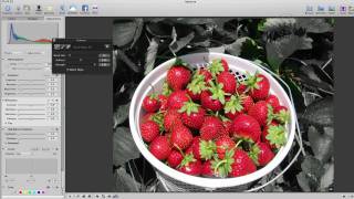 How to Add Color to a Black and White Image Using Aperture