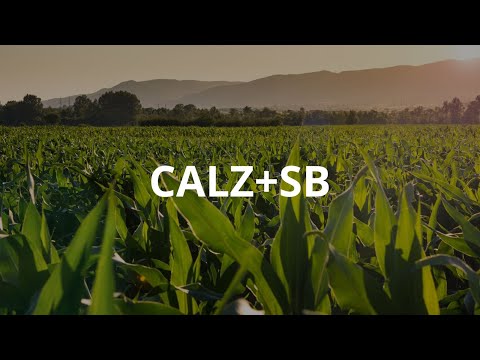 Cal Z + SB
