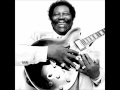 B.B.King - Better Not Look Down