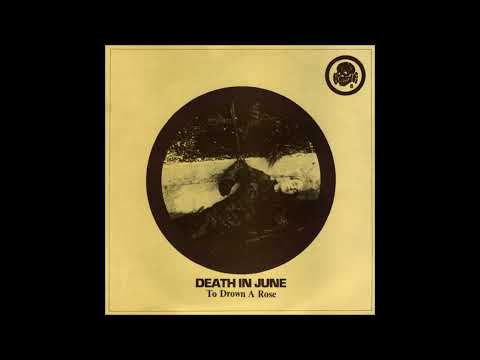To Drown a Rose - Death in June