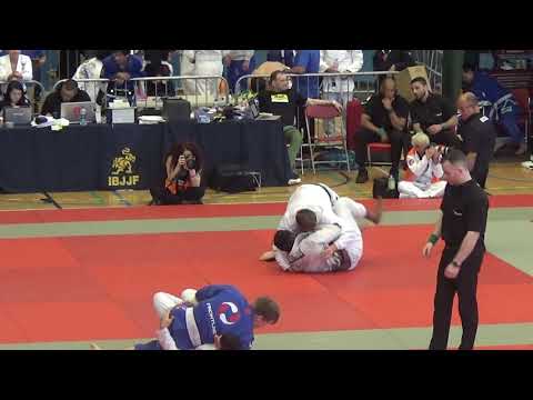 Adam Wardzinski vs Vinicius De Castro - IBJJF London Winter Open 2017 - Black Adult - Open