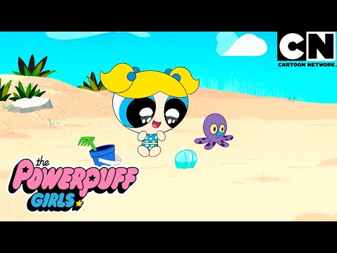 Os Tubabros tomam conta da praia | As Meninas Superpoderosas | Cartoon Network 🇧🇷