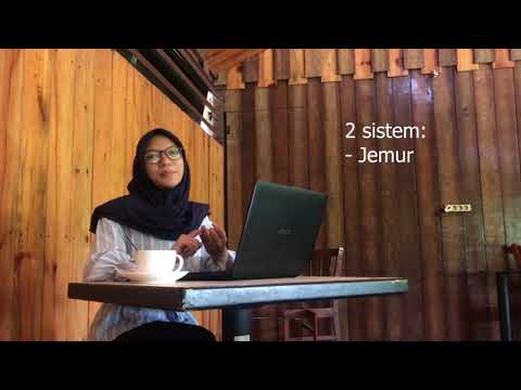 download lagu mp3 mp4 Mysalt, download lagu Mysalt gratis, unduh video klip Mysalt