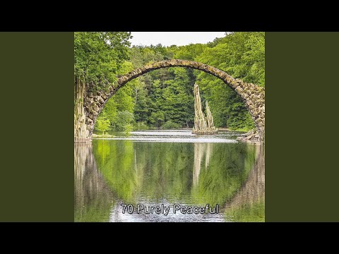 The Good Nights Kiss