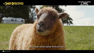 Solve