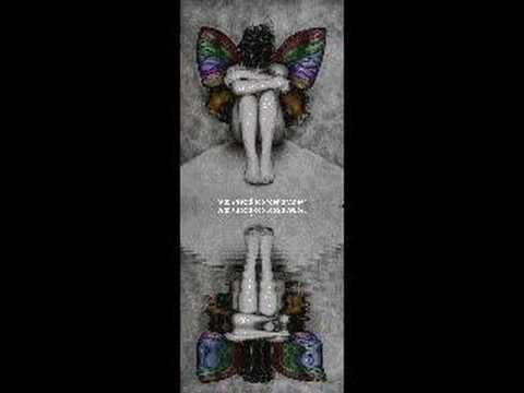 timrai yadma kalpi kalpi