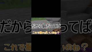 アプデ情報ミリしらでマイクラしたら恥ずかしいことになりましたｗｗｗ #Shorts