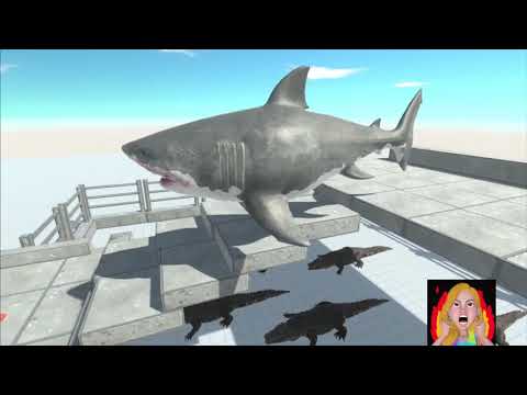 DON'T GO NEAR MEGALODON   Aquatics vs Dinosaurs   Animal Revolt Battle Simulator