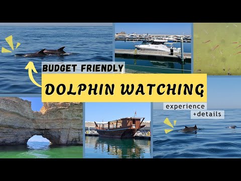 DOLPHIN WATCHING MUSCAT | AFFORDABLE DOLPHIN WATCHING TOUR | MARINA BANDAR AL ROWDHA