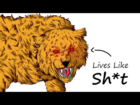 Why It Sucks To Be Born As a Liger (Lion + Tiger)