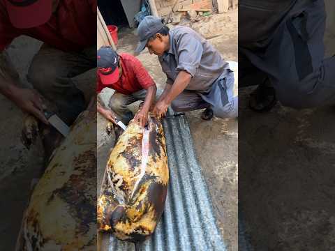 Tradiciones en Huayán Huarmey Ancash