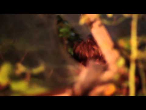 Det Er Koldt Og Der Er Skind På/ It´s Cold And It´s Slate- Behind The Scene