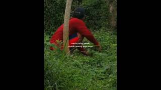 Download lagu story wa wong ngaret mp3