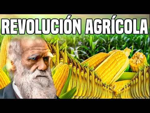 , title : '¿QUE ES la Revolución Agrícola? - Increíble'