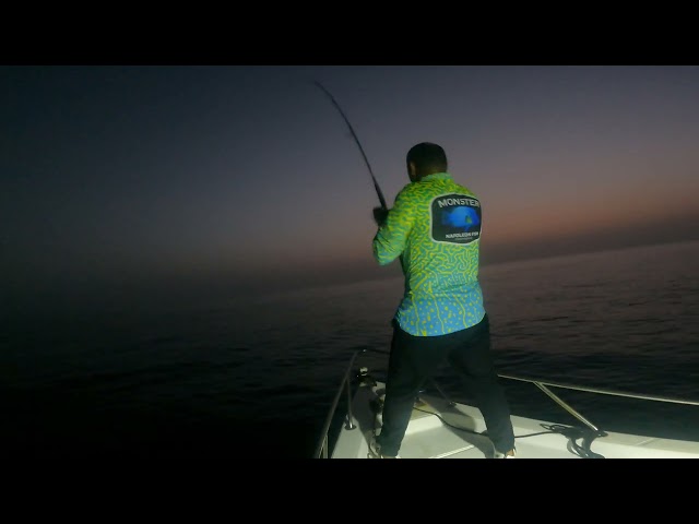 قصبات BOCA-S LIGHT POPPING