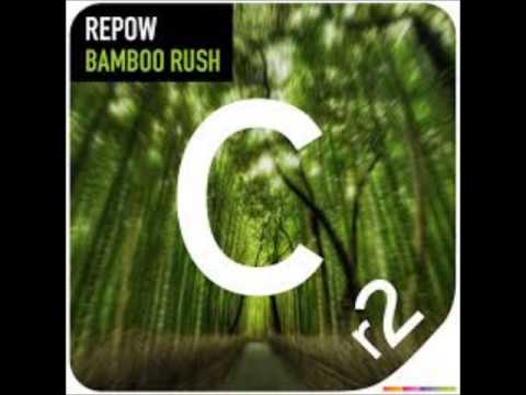 Repow vs Ivan Gough & Feenixpawl ft. Georgi Kay - Bamboo In My Mind (Dj Gunther Mashup)