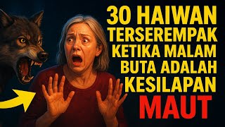 Download lagu 30 Haiwan: Terserempak Ketika Malam Buta Adalah Kesilapan Maut mp3 Download lagu 30 Haiwan: Terserempak Ketika Malam Buta Adalah Kesilapan Maut mp3