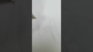 蜘蛛の糸を突き破る！ミセス大森さんを描く①