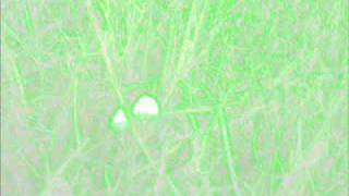 South Park Freestyle Suck my Balls Mr Garrison Satisfaction