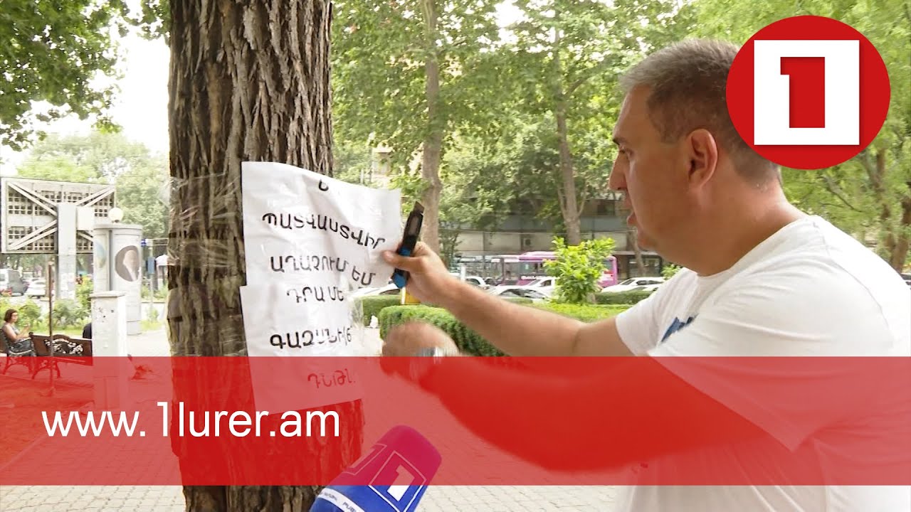 Ովքե՞ր են ծառերին գրություններ փակցրել պատվաստվելու վտանգի մասին