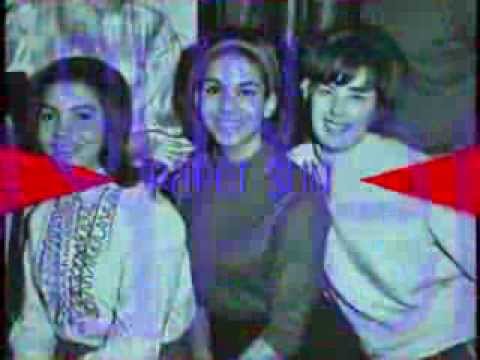 THE MURMAIDS - Paper Sun (1968)