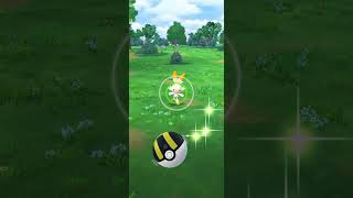 Shiny Scorbunny Appeared in Pokemon GO! #Shorts