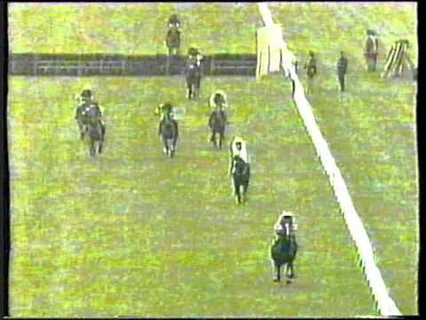 1998 - Lingfield - Summit Junior Novice Hurdle - Hors La Loi III