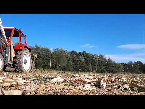 Steyr 50 Plus Bj 1967 beim Pflügen mit KMF Pflug UZ27