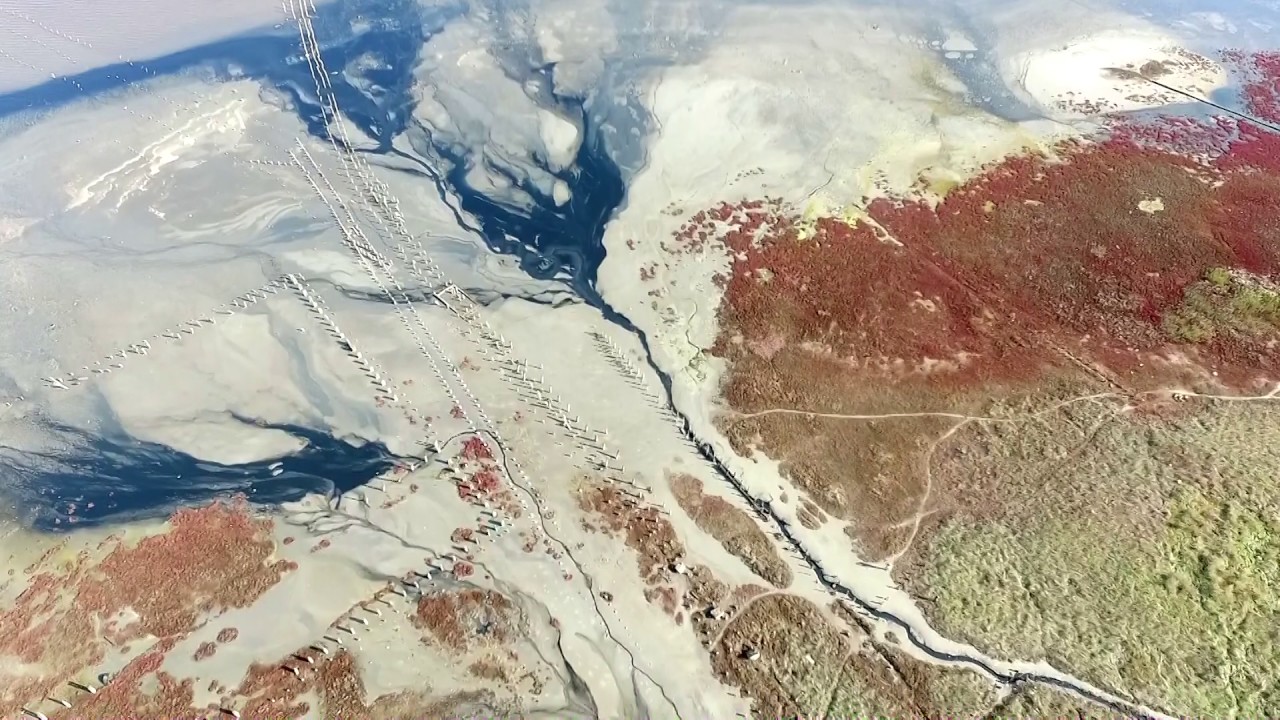 Корисне відео