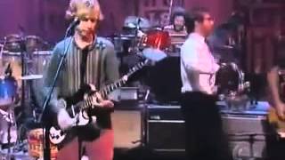 Beck live - Black Tambourine