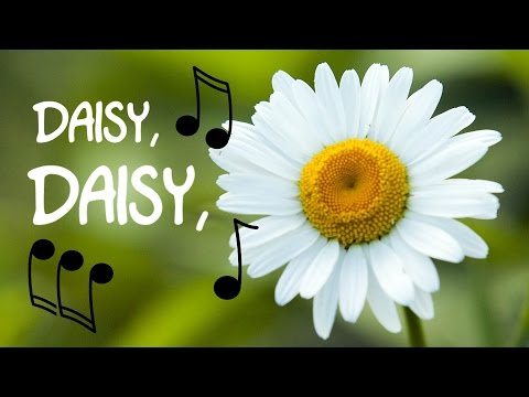 Daisy, Daisy Bell (bicycle built for two) instrumental cover