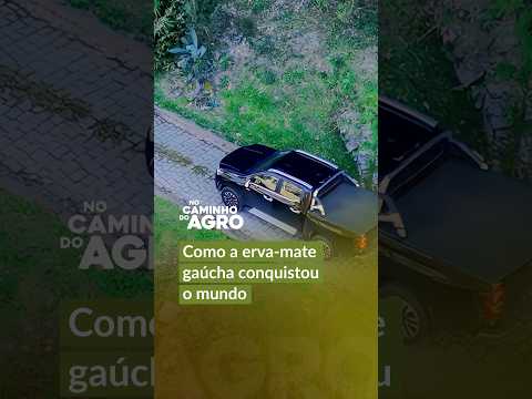 NO CAMINHO DO AGRO #5 | Da colheita à cuia: conheça a produção da erva-mate no RS  | GZH