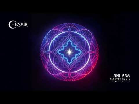 Cesair × PLANTEC || Ani Ana - PLANTEC Remix [visualiser]