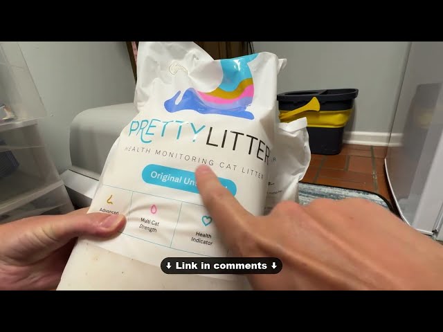 Pretty Litter Health Monitoring Review: An Essential Tool for Cat Owners - close-up view