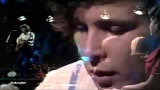 Don McLean - Since I Don&#39;t Have You (HD,HQ) + lyrics