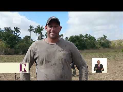 Implementan sistemas de riego con energía fotovoltaica en empresa tabacalera de Consolación del Sur